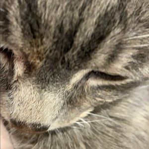 Meet your Posher, Joy